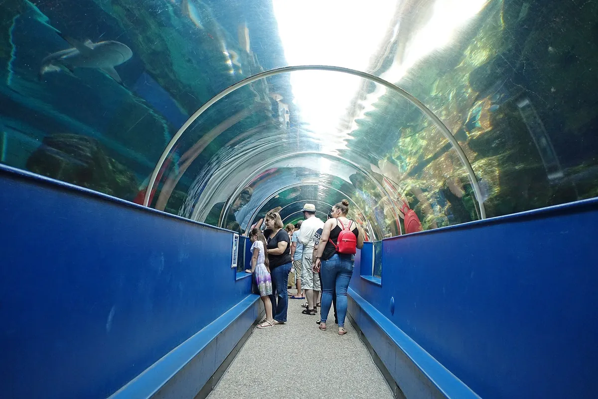 Oceanarium