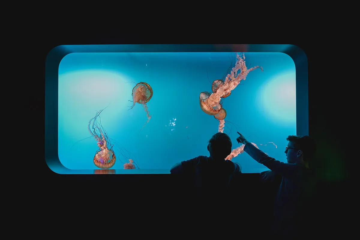 Aquarium du Québec