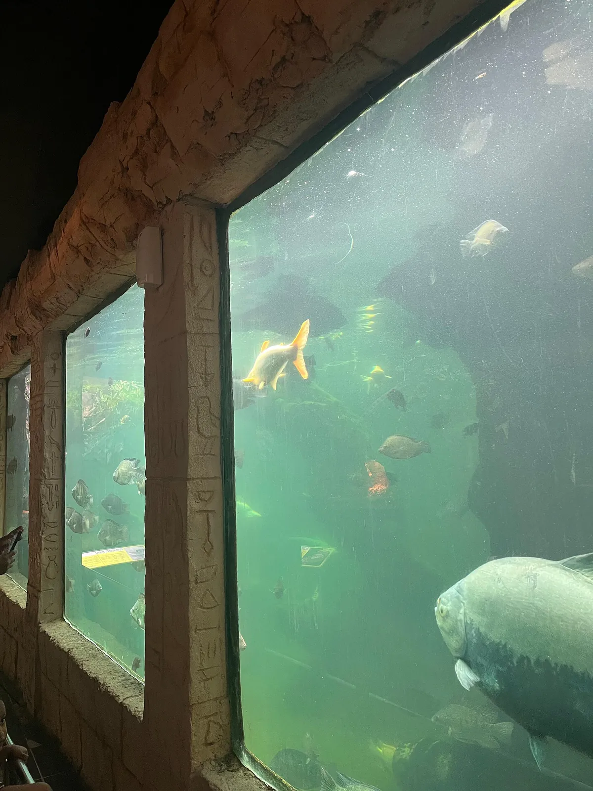 Batu Secret Zoo