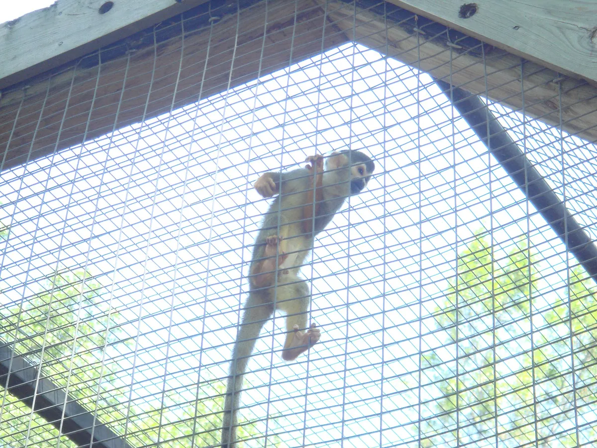 Riverviewpark Andzoo