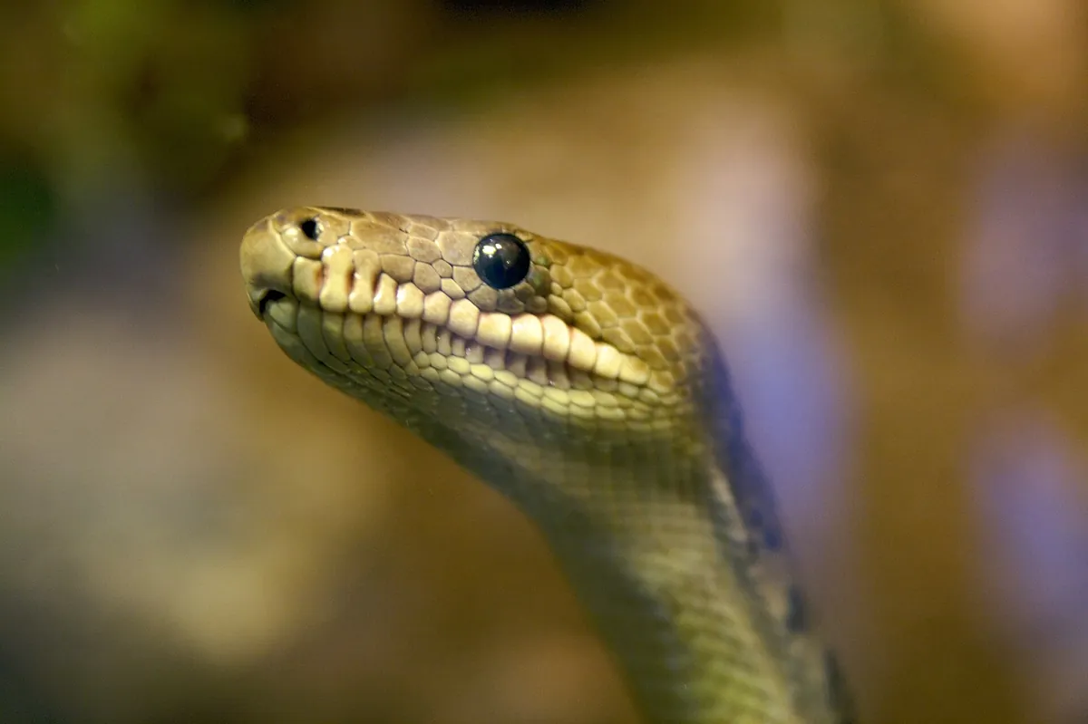 Oslo Reptilpark