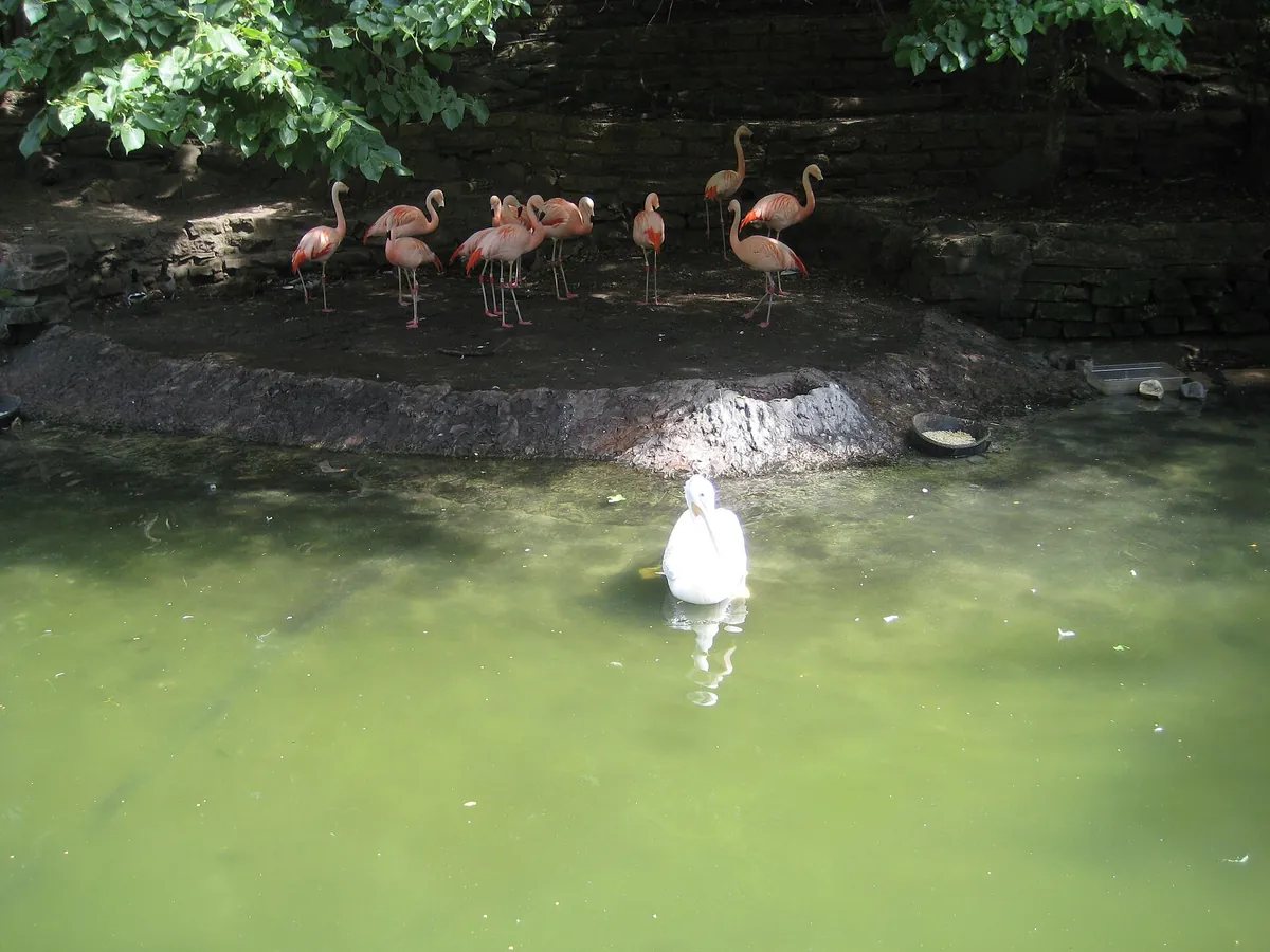 John Ball Zoo