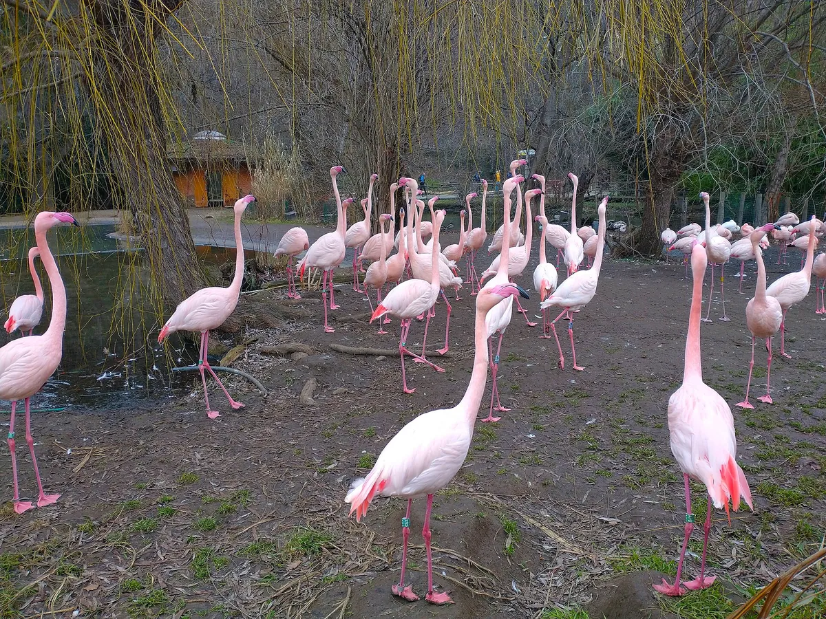 Prague Zoo