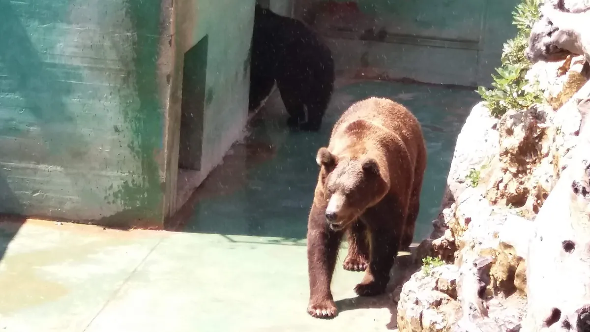 Zoosafari Fasanolandia