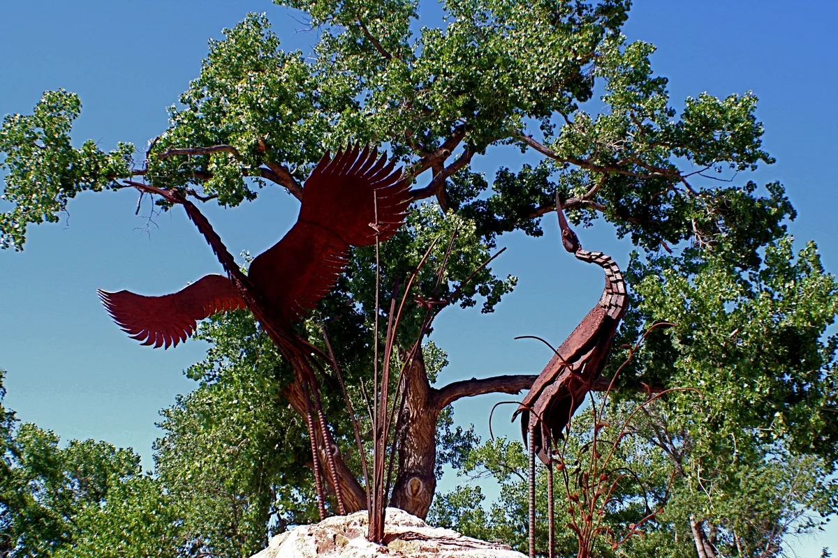 Albuquerque Aquarium