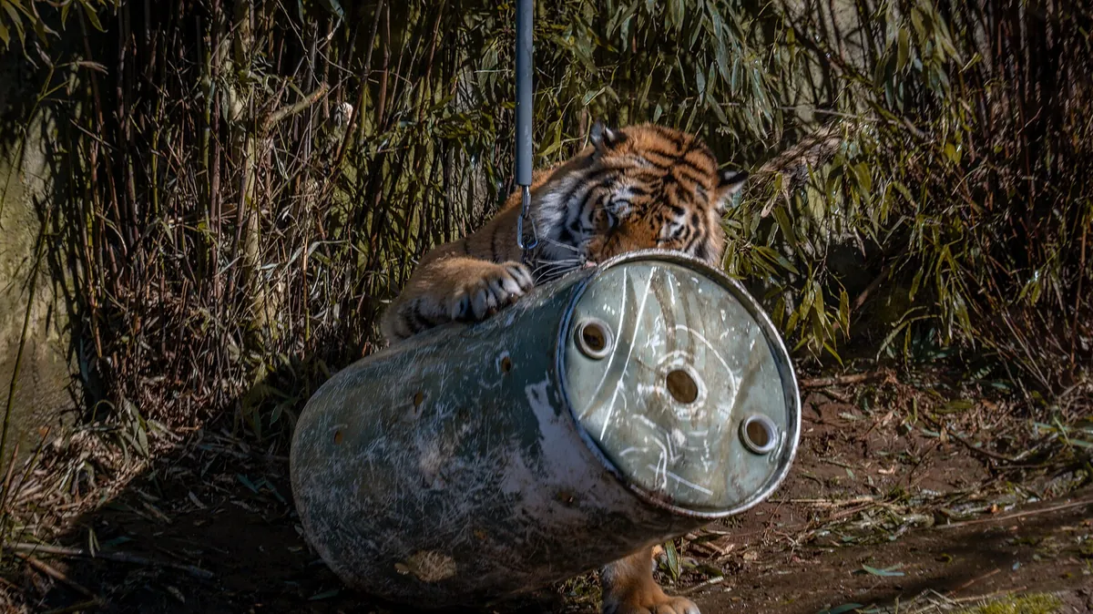 Oregon Zoo