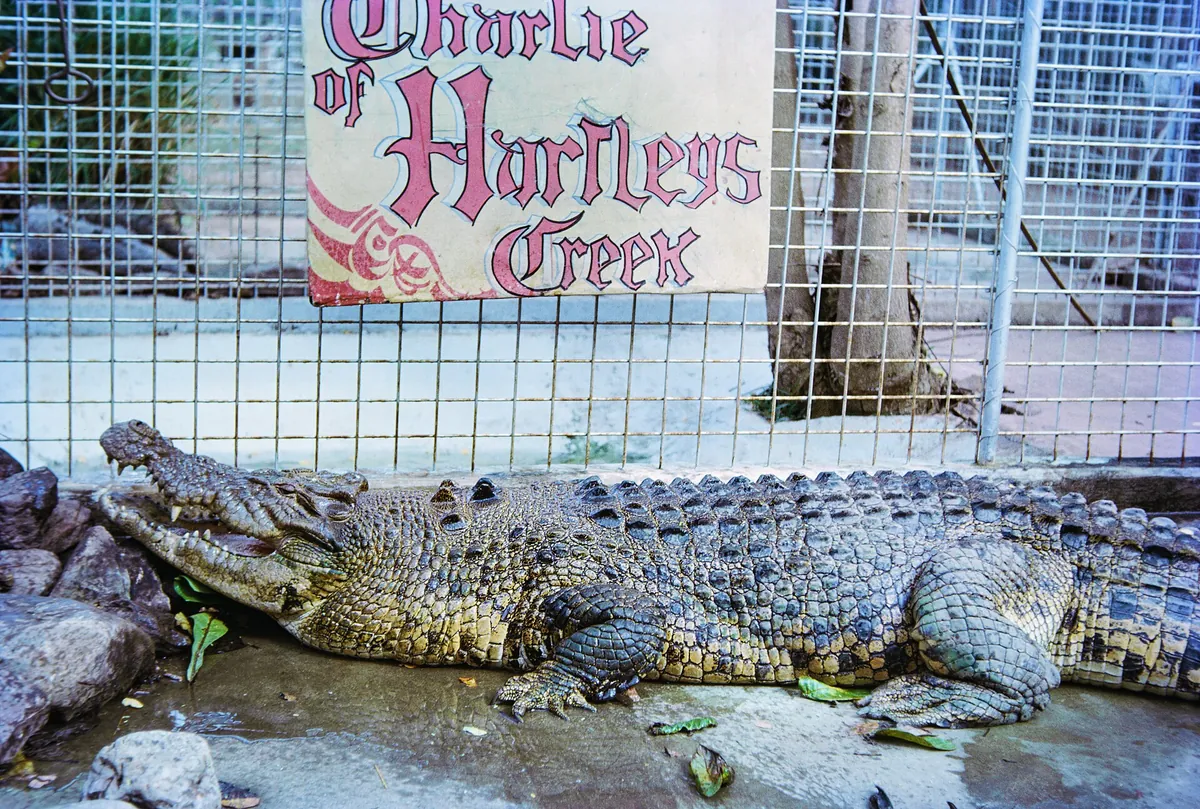 Hartley’s Crocodile Adventures