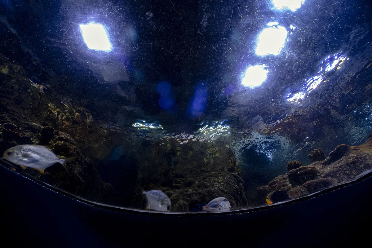 Istanbul Aquarium