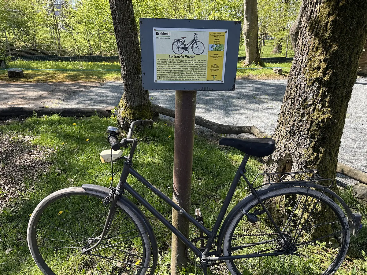 Tiergarten Falkenstein