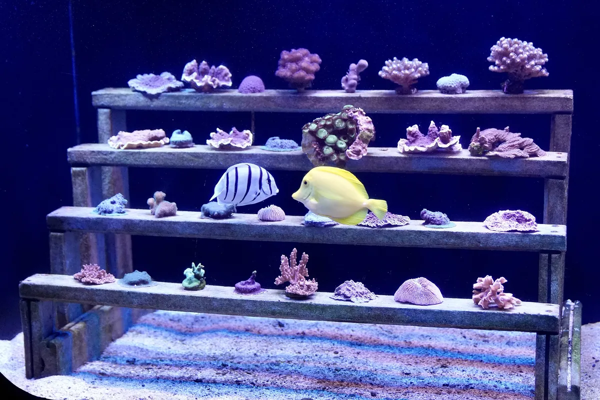 Maui Ocean Center