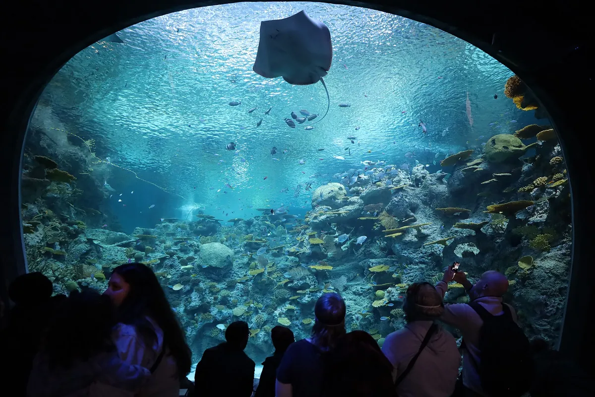 Seattle Aquarium
