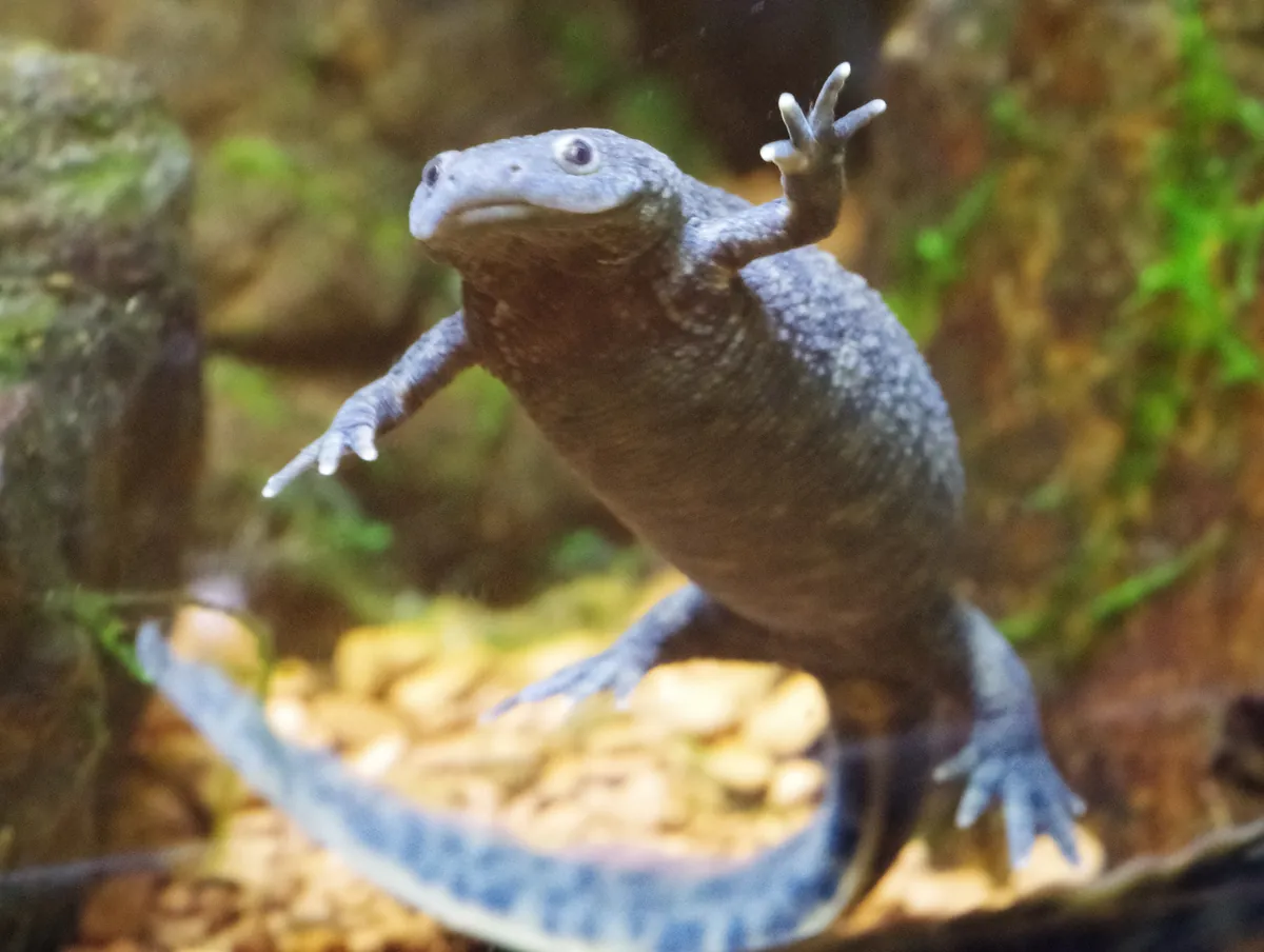 Nagoya Higashiyama Zoo