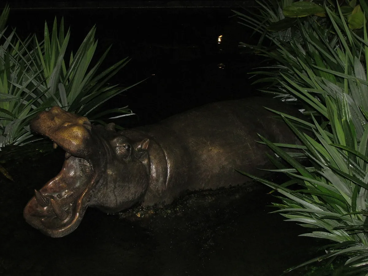 Night Safari