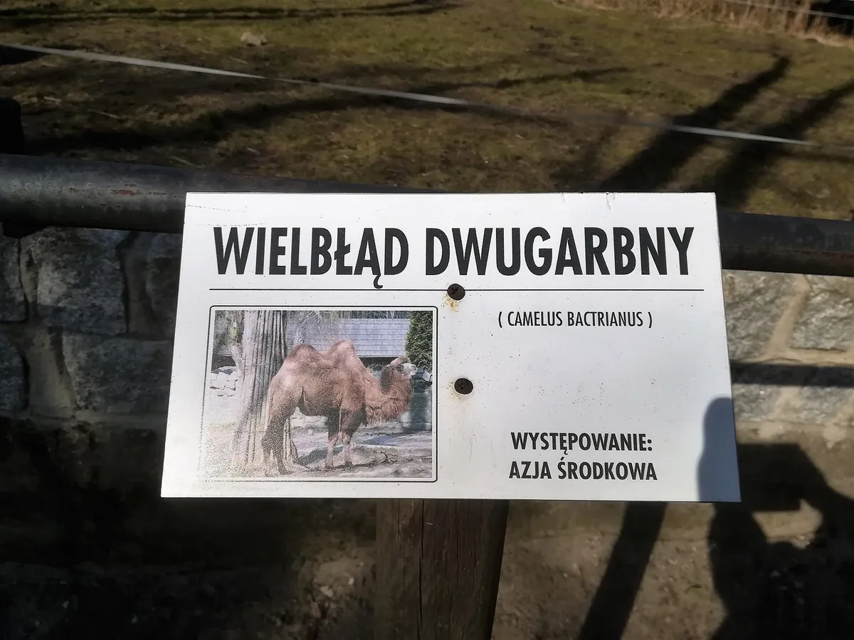 Zoo Nowy Tomyśl