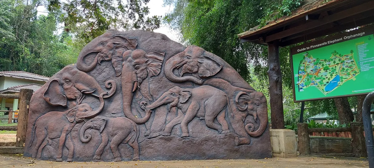 Pinnawala Open Zoo