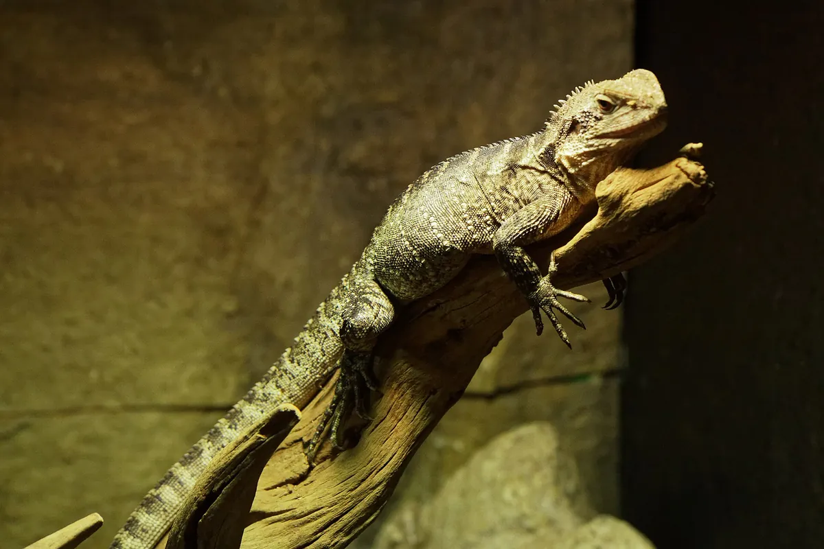 Aquarium du Périgord noir