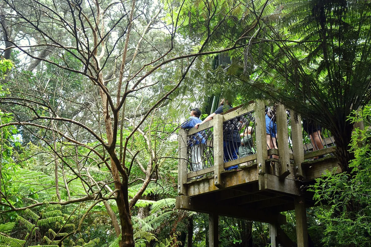 Auckland Zoo