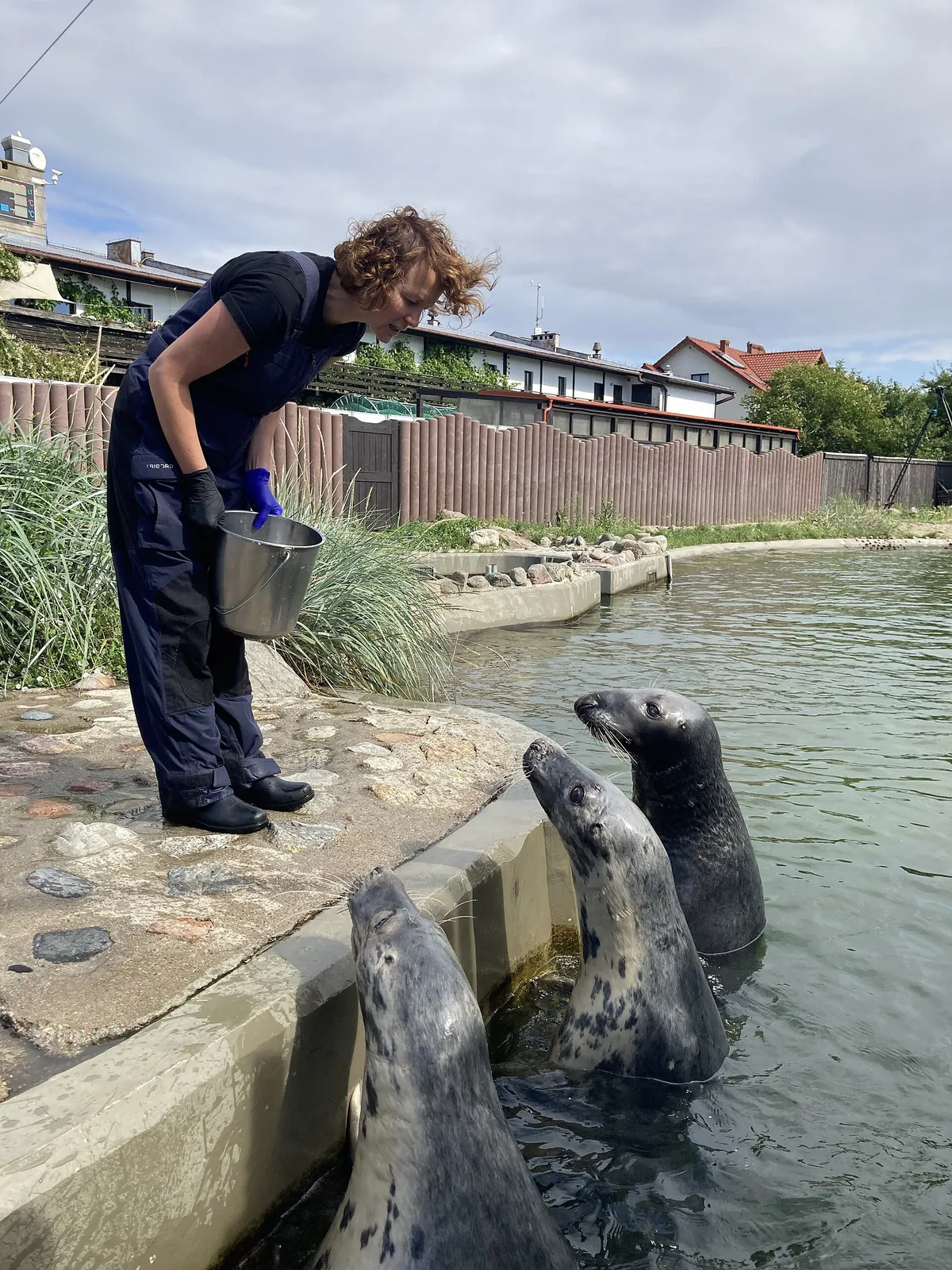 Seal Sanctuary in Hel