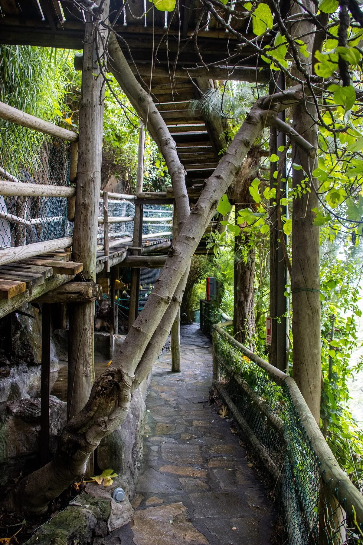 MAROPARQUE ISLA DE LA PALMA