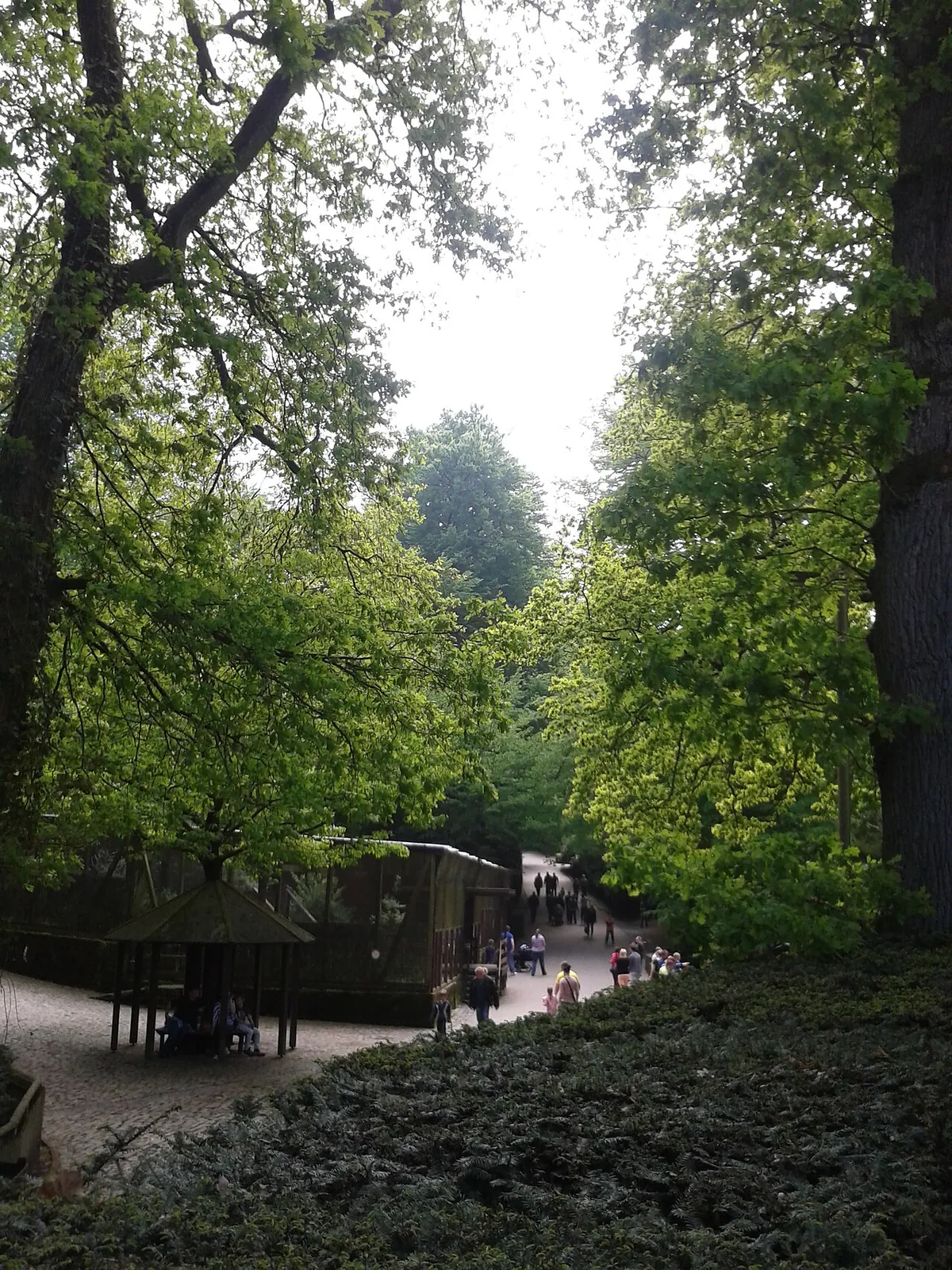 Heimat-Tierpark Olderdissen