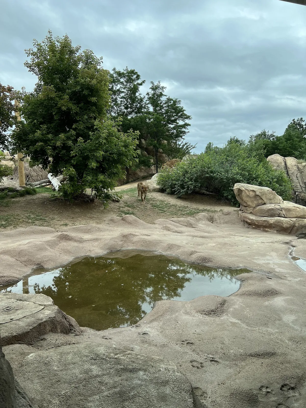 Denver Zoo