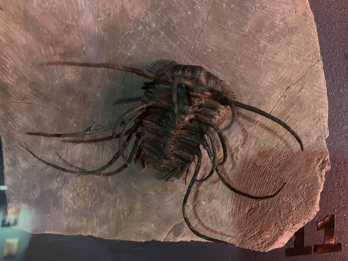 Vancouver Aquarium