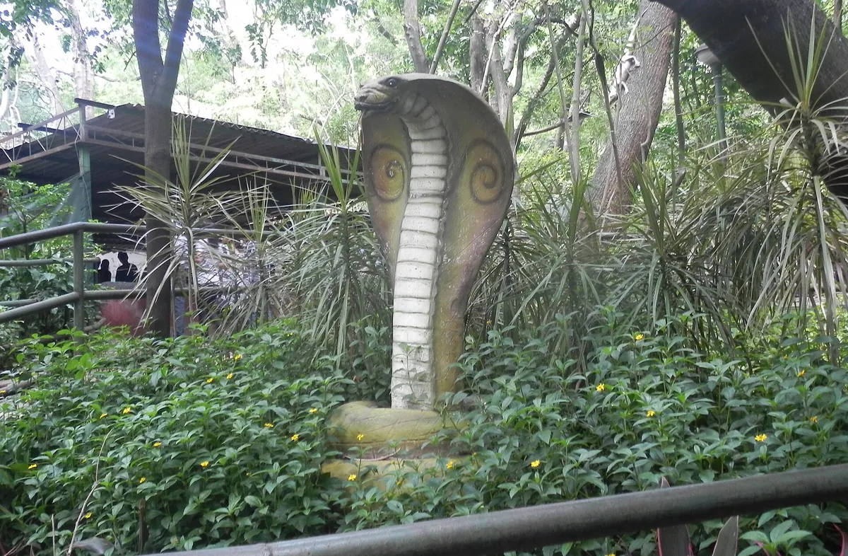 Rajiv Gandhi Zoological Park