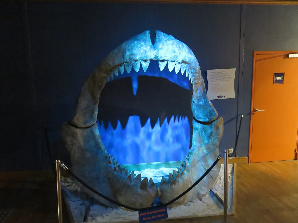 Great Aquarium Saint-Malo