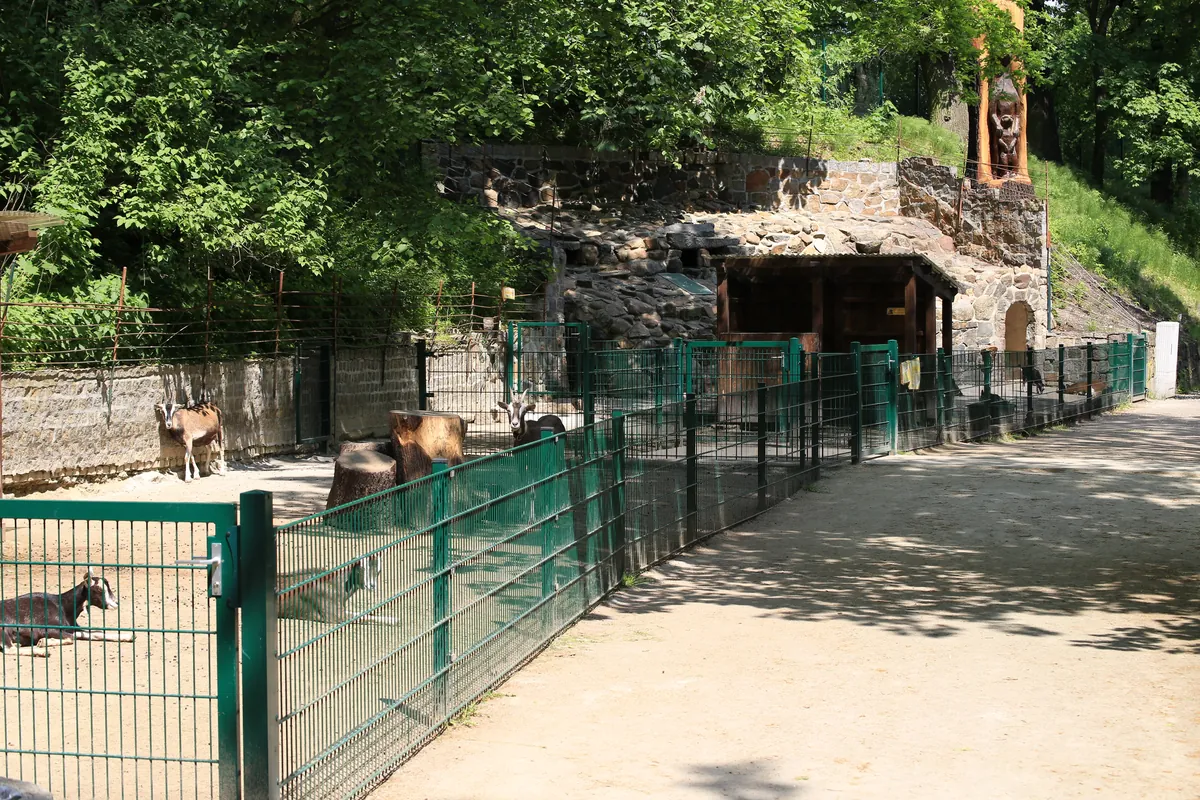 Tierpark Senftenberg