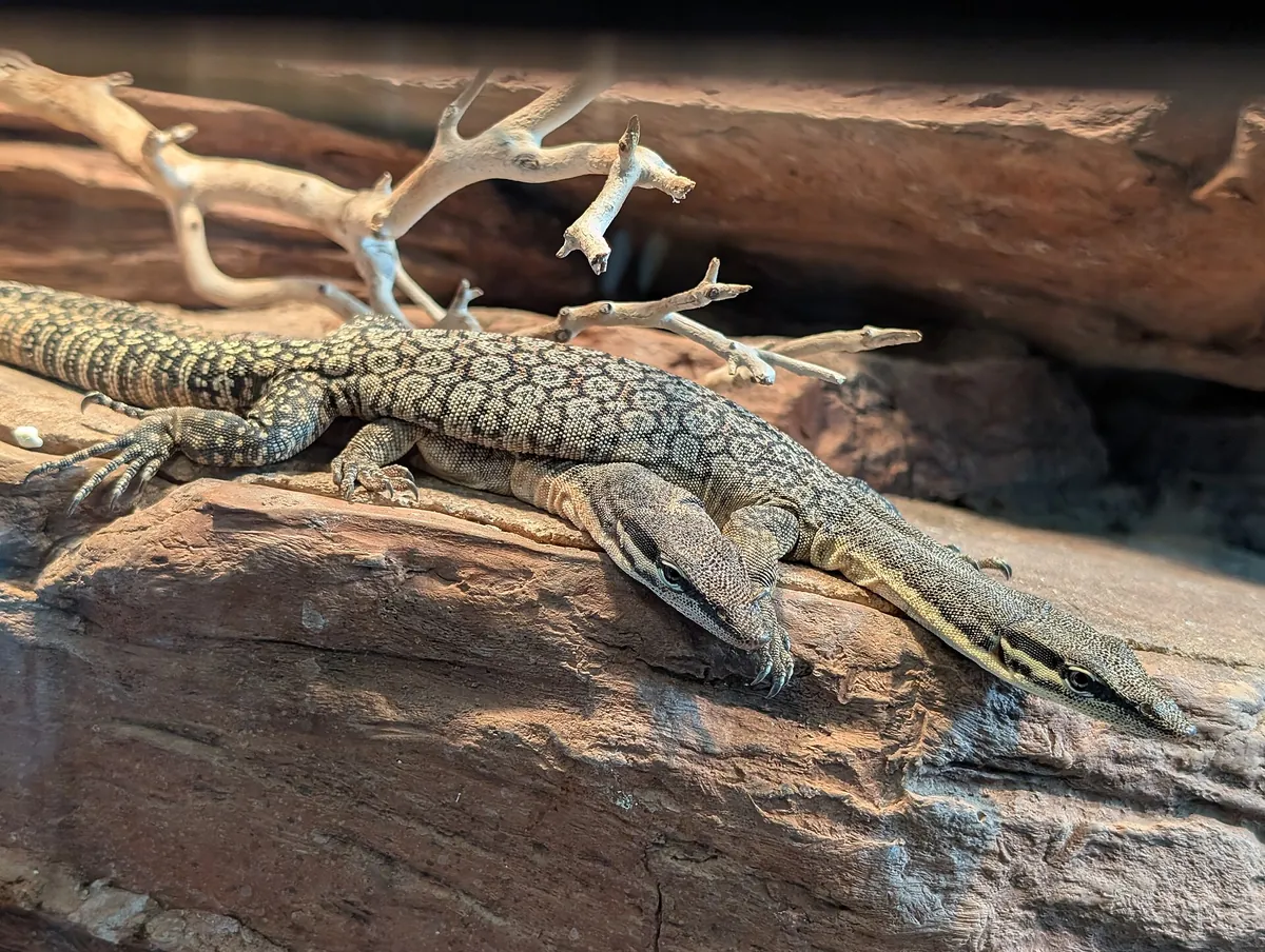 Bronx Zoo