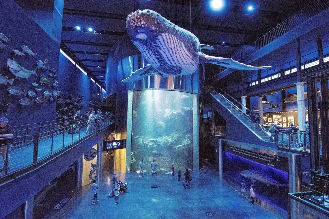 Johnny Morris' Wonders of Wildlife National Museum & Aquarium