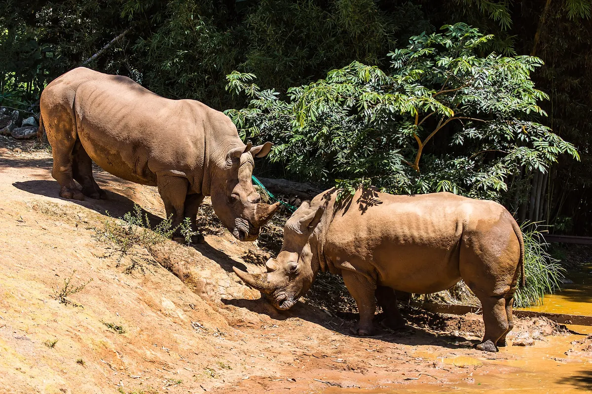 Zooparque Itatiba