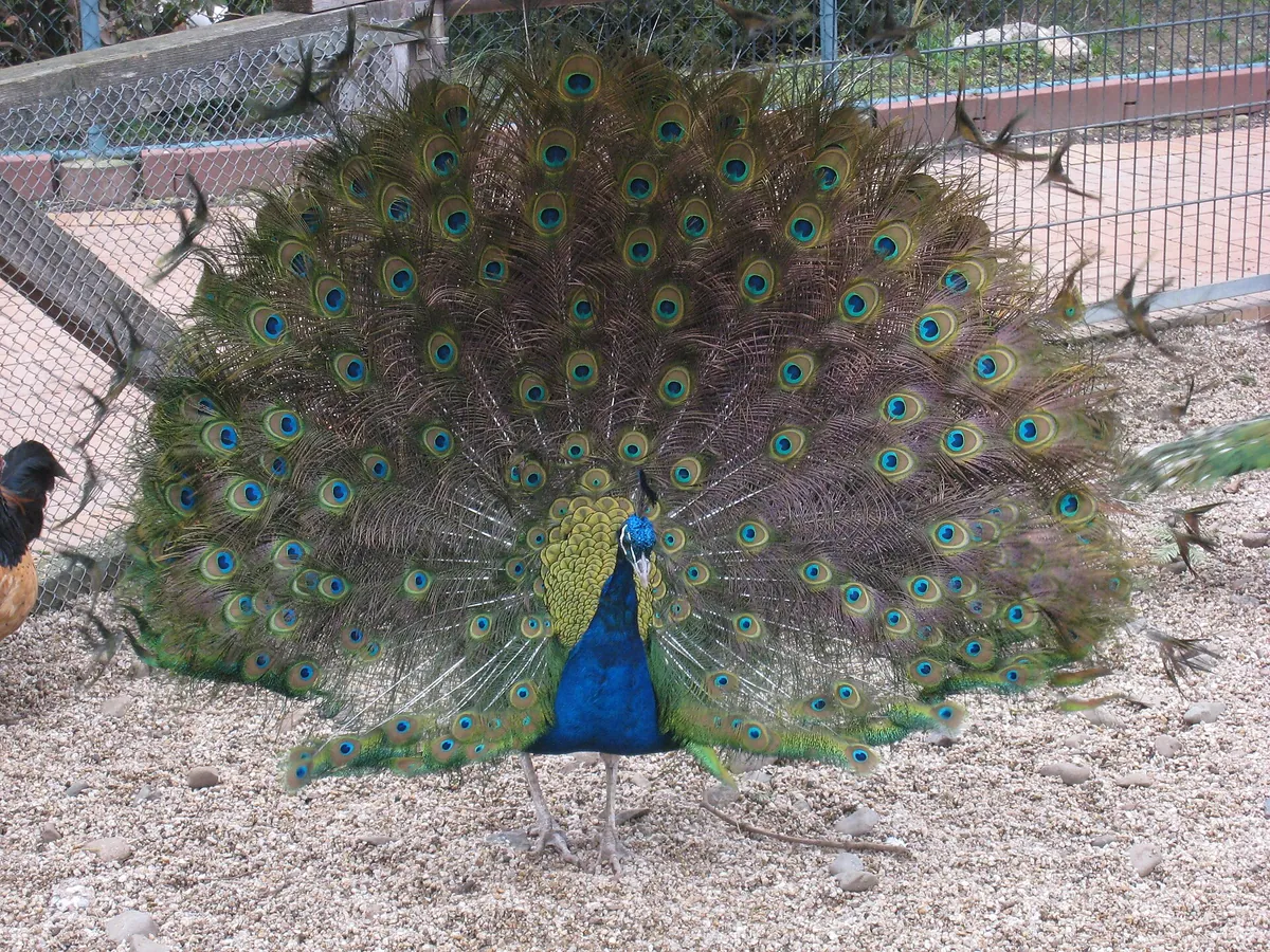 Tierpark Bad Kösen