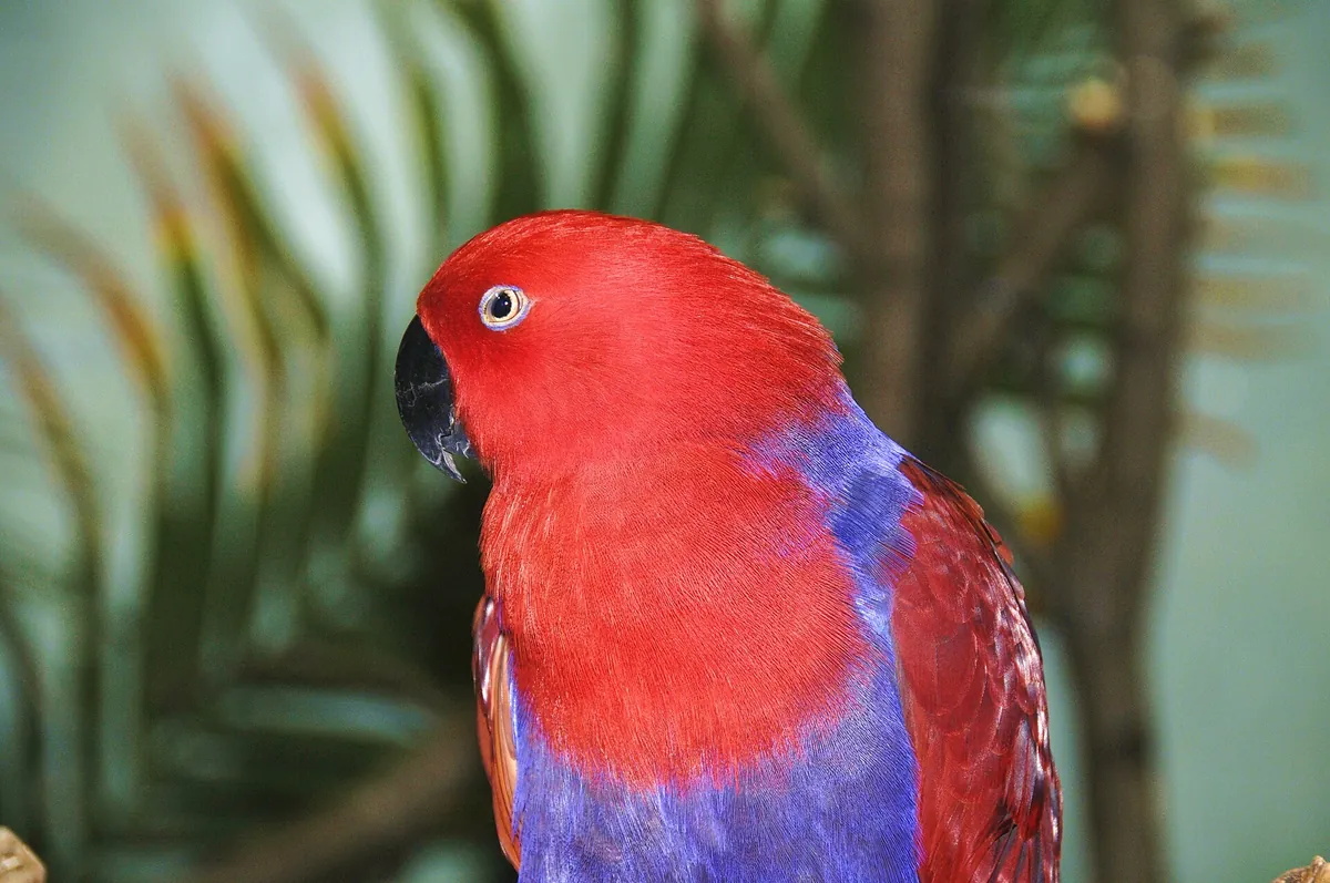 Prospect Park Zoo