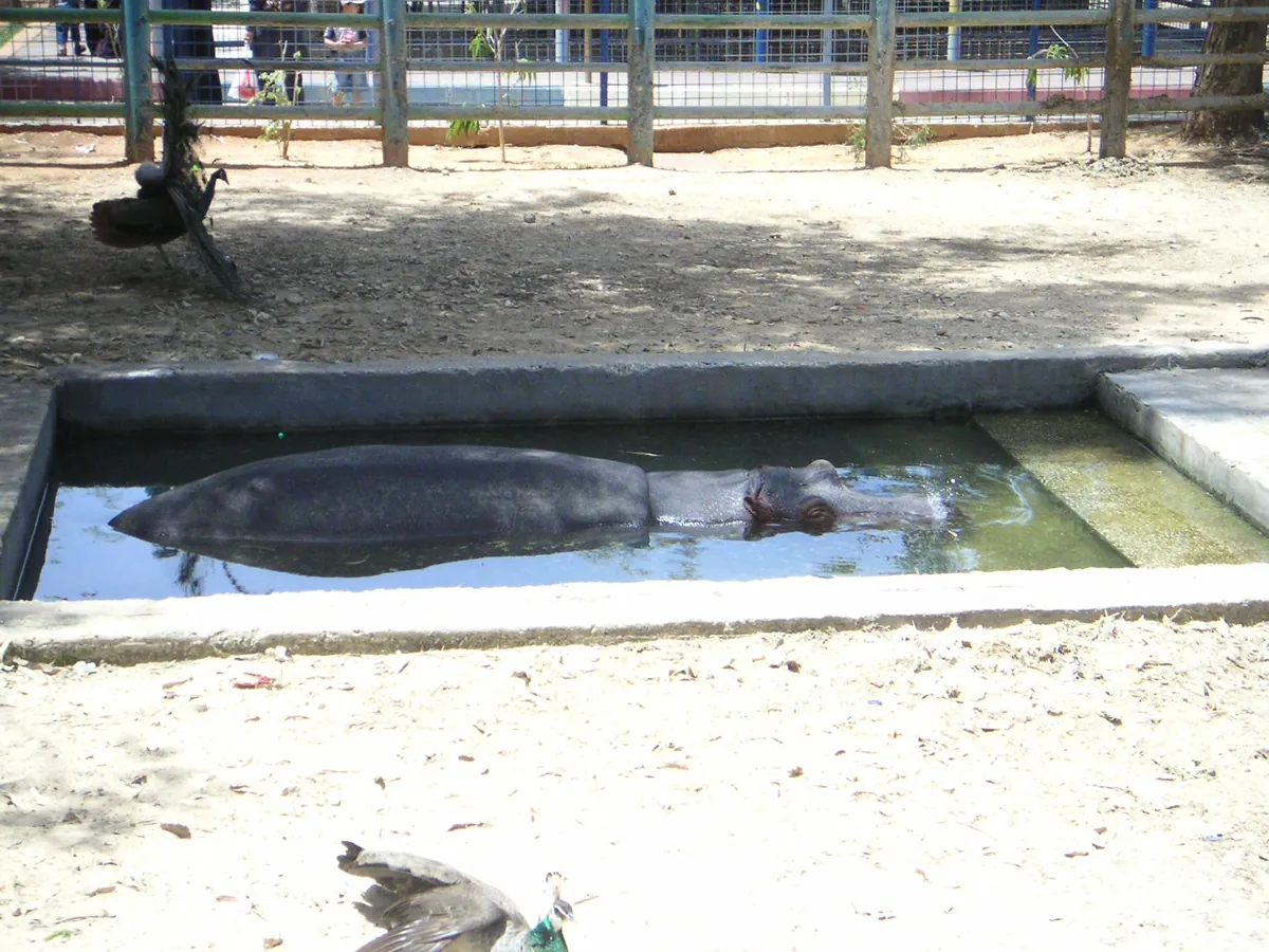Qalqilya Zoo