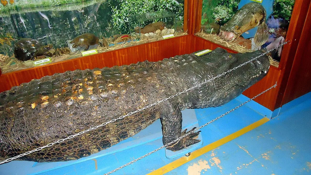 Zoológico de Goiânia