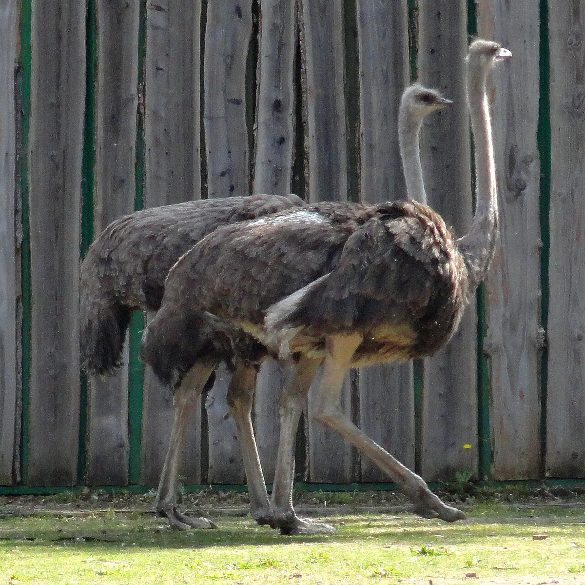 Zoo Veldhoven