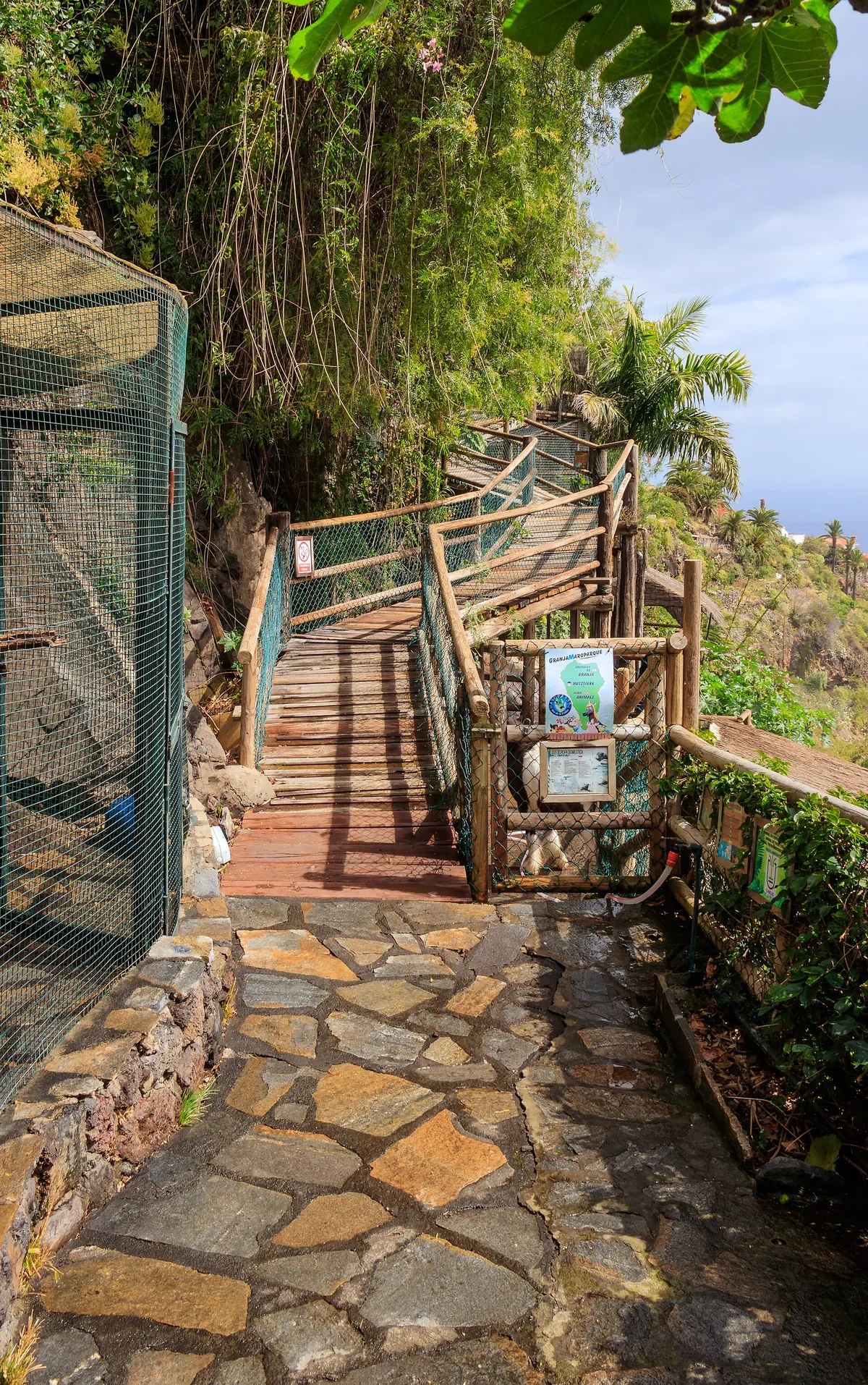MAROPARQUE ISLA DE LA PALMA