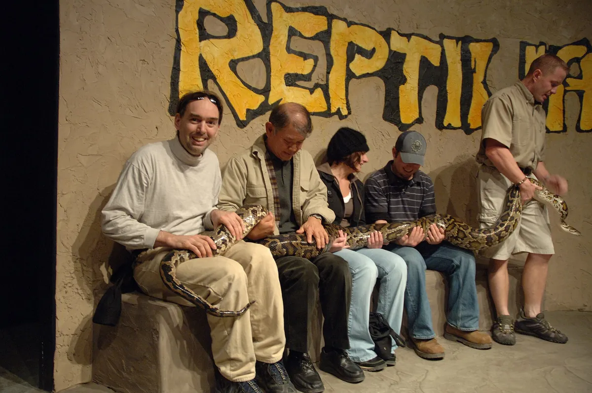 Reptilia