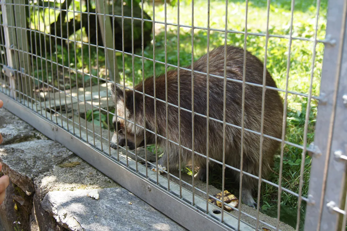 Zoo al Maglio