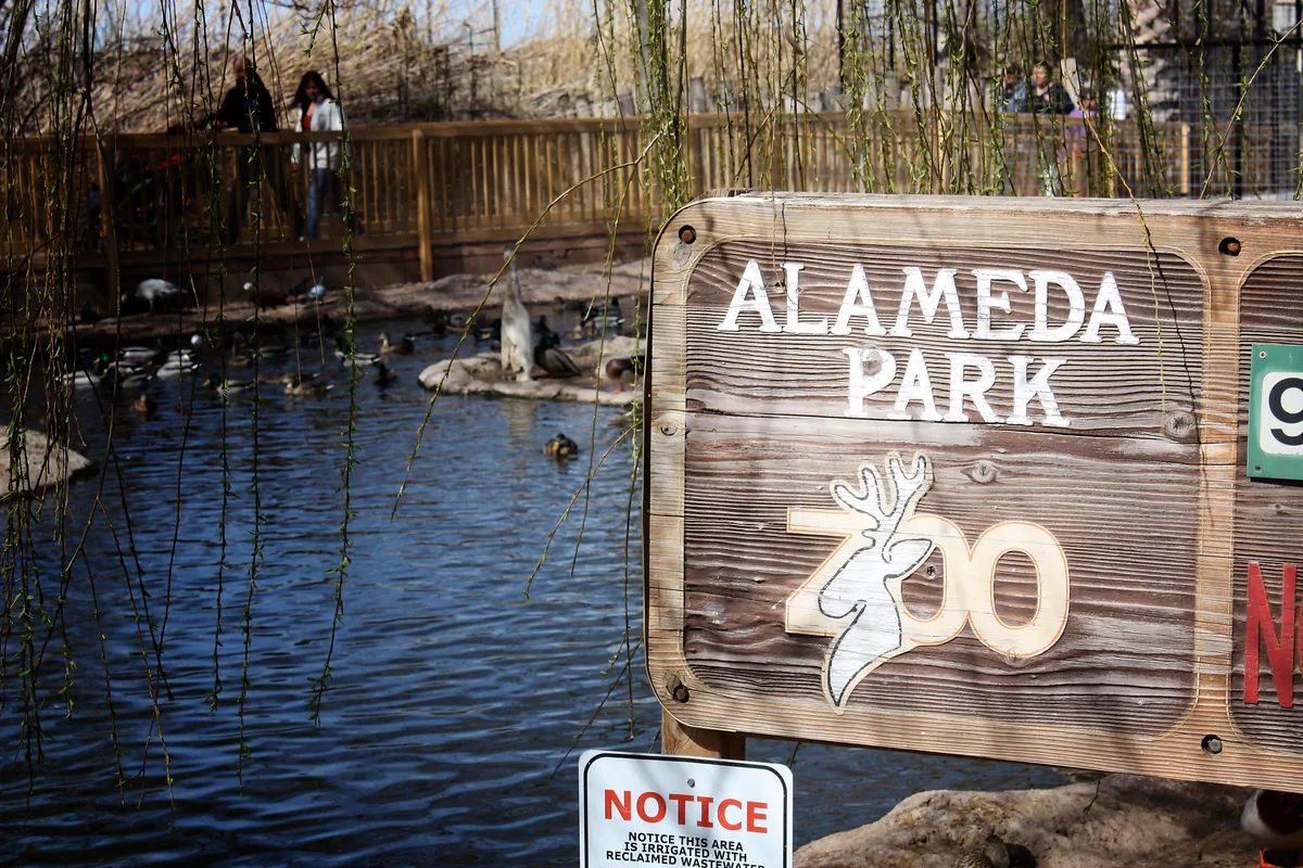 Alameda Park Zoo