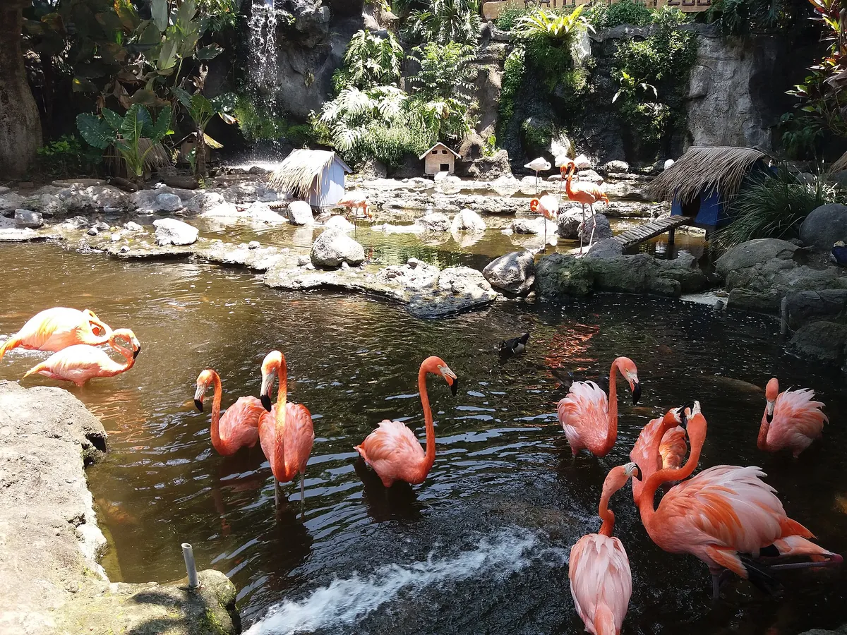 Batu Secret Zoo