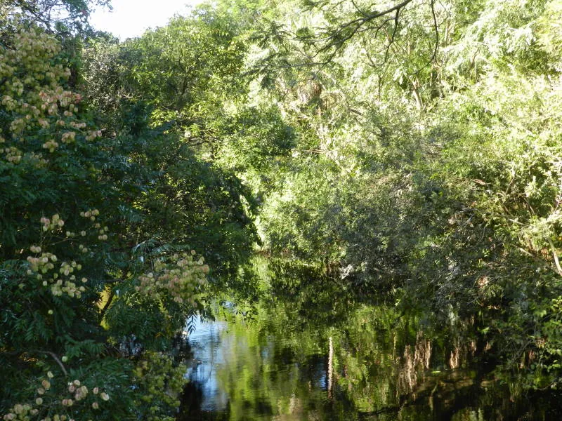Disney's Animal Kingdom