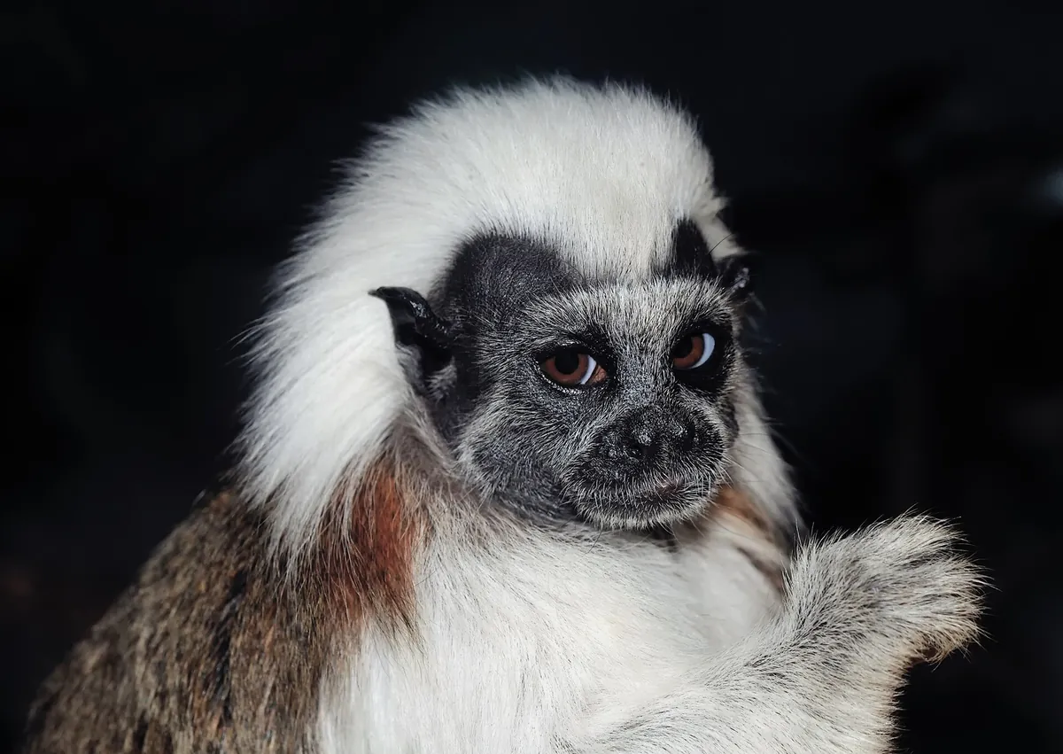 Tierpark Bad Pyrmont