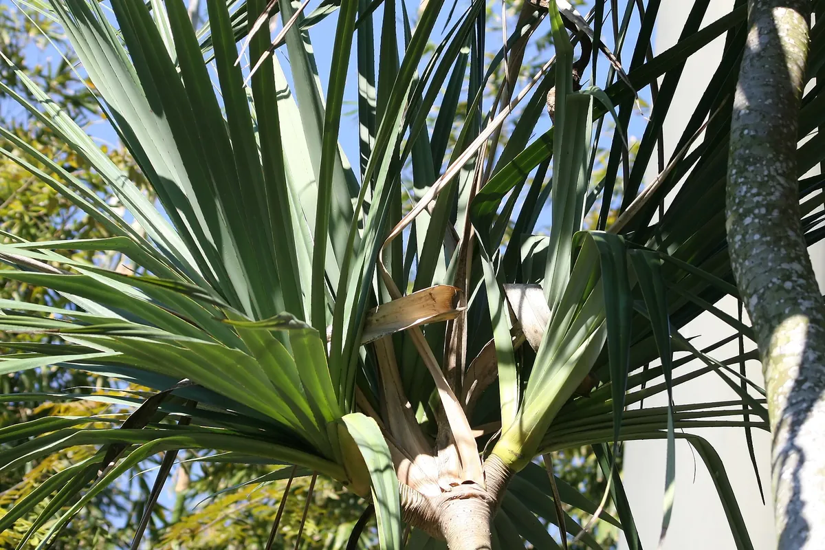 Zoo Miami