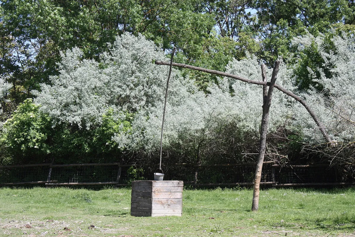 Steppentierpark Pamhagen