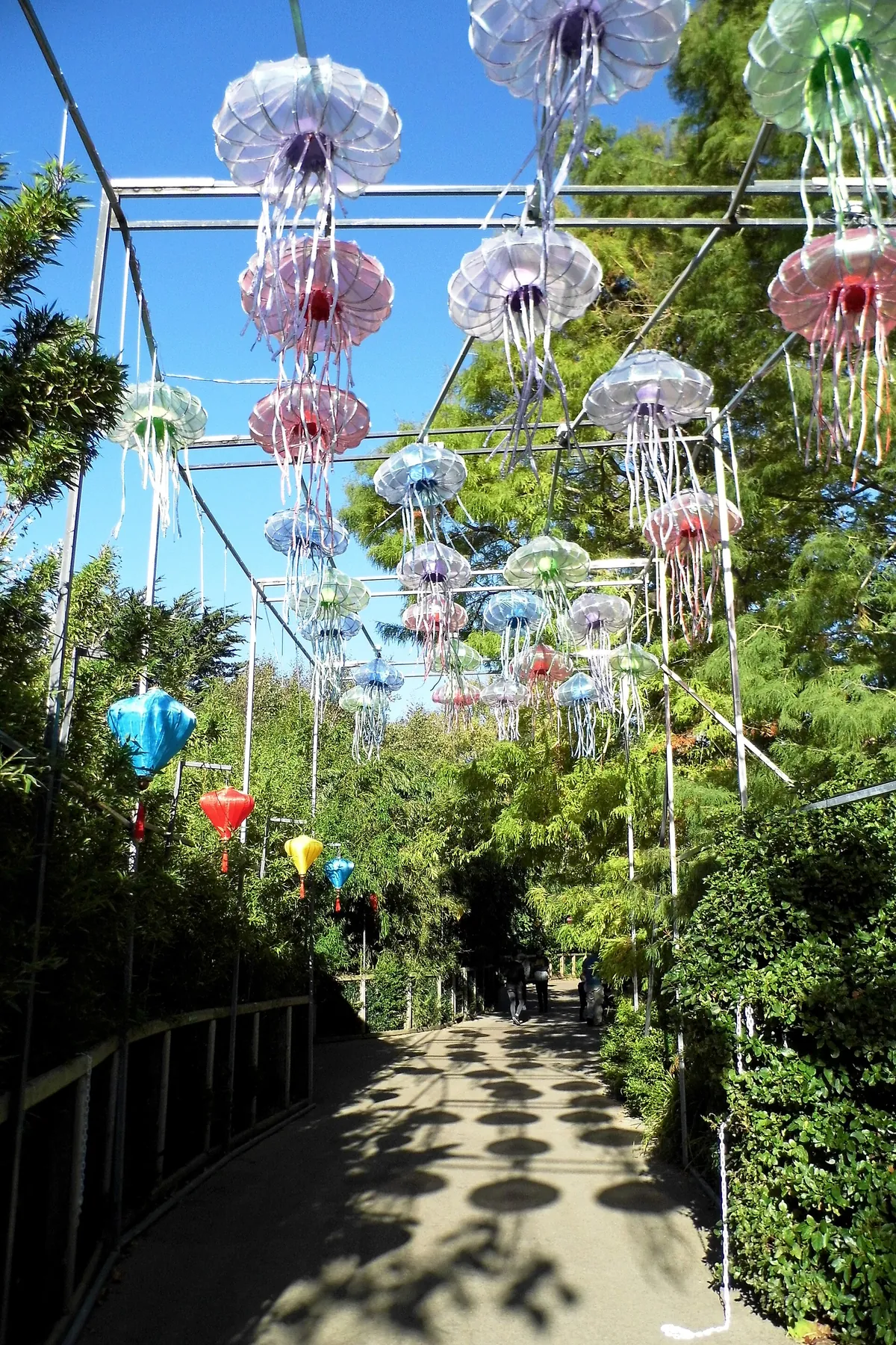 Dublin Zoo