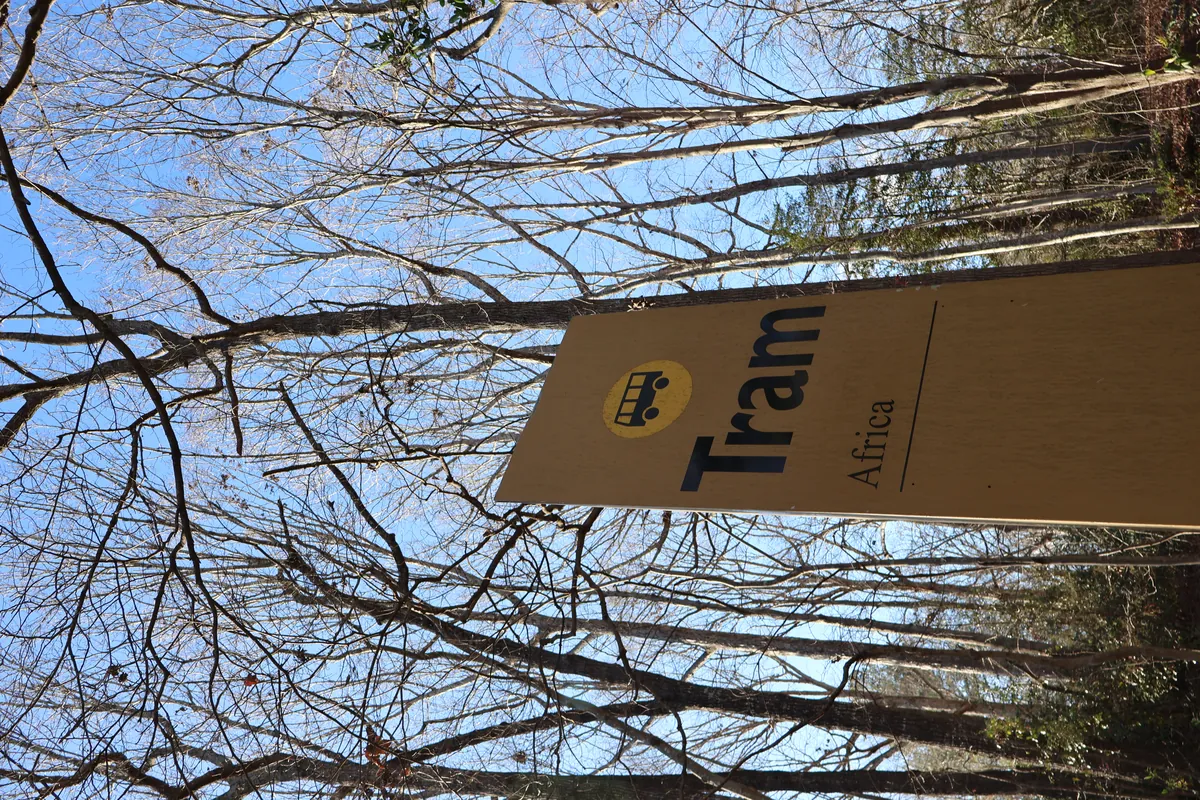 North Carolina Zoo