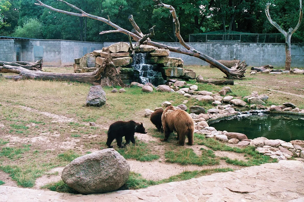 Tiergarten Bernburg