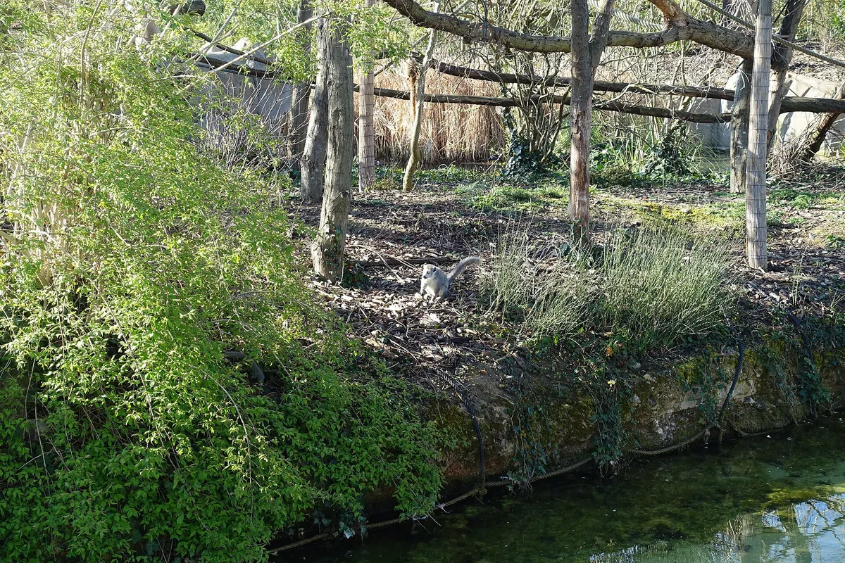 Paris Zoological Park